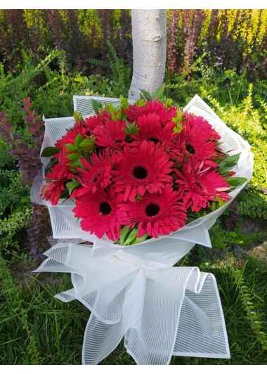 kırmızı gerbera buketi